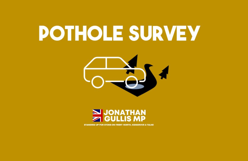 Pothole Survey Graphic