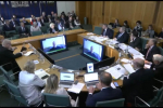 Image of the Business and Trade Select Committee in session