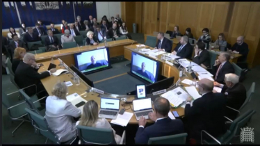 Image of the Business and Trade Select Committee in session